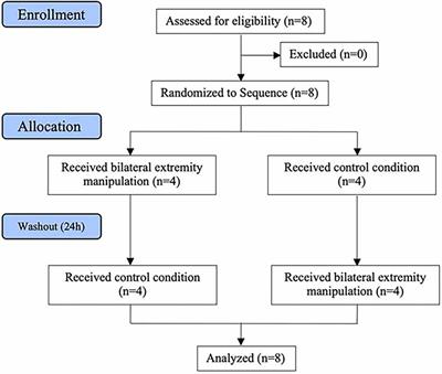 Immediate effect of lower extremity joint manipulation on a lower extremity somatosensory illusion: a randomized, controlled crossover clinical pilot study